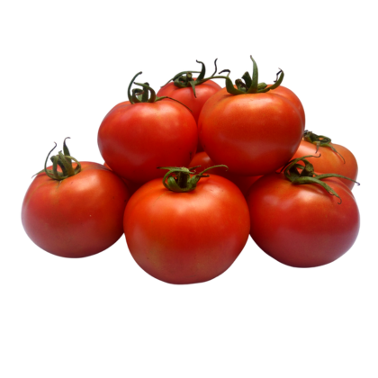 Vegetable-Products-Known-You Seed India